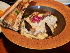 -蓝枪鱼Blue Marlin Infinita(星海店)