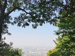 -惠山国家森林公园