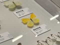 -四川大学博物馆
