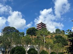 -清溪大王山森林公园