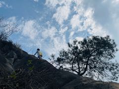 -南山植物园