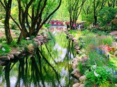 -上海共青森林公园