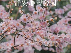 -静安雕塑公园
