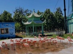-秦皇岛野生动物园