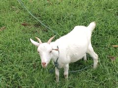 -乡乐园蟹庄·阳澄湖农家乐