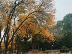 -玲珑塔公园