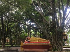 -瑞丽独树成林风景区