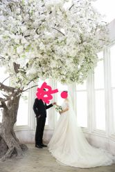 -保定金沙芝柏婚礼策划