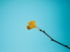 -上海市龙华烈士陵园