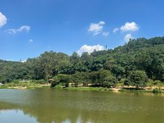 -南国桃园旅游度假区