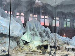 -帝企鹅自助餐厅•儿童岛•真企鹅(长隆企鹅酒店)