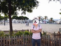 -小巴塞罗那海滩