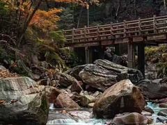 -秦岭风景区
