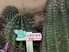 -正佳雨林生态植物园