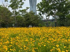 -西湖文化广场