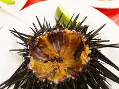 蒸海胆-阿兴生鱼片(大光路店)