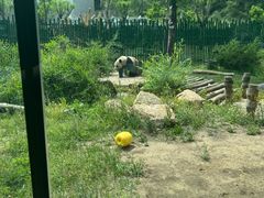 -沈阳森林动物园