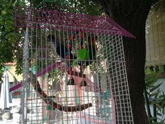 -三品尚院(贝勒府旧址店)