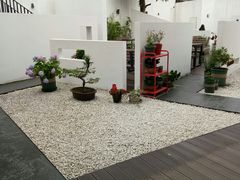 -大隐国际青年旅舍(上海陆家嘴东方明珠店)