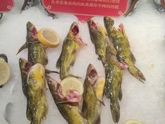 -芝小官毛肚火锅海鲜自助(淮安清江浦区新亚店)