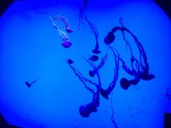 -沈阳海洋探索中心