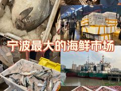 -宁波野生动物园