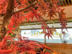 -滇色蒸汽石锅鱼(京华城店)