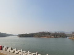 -佛手湖郊野公园