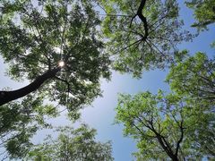 -洨河生态公园
