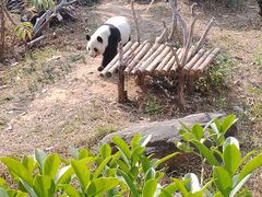 -南宁市动物园