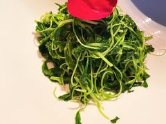 -三利音·浦之舟(滨江大道店)