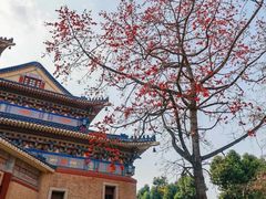 -广州中山纪念堂