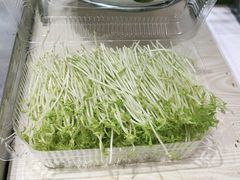 -佤家大院(南门店)