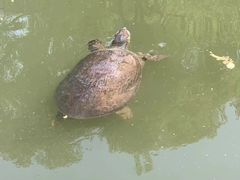 -君乐阁食府(上城店)