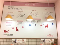 -可蒙动物医院·猫科·骨科中心(首义路店)