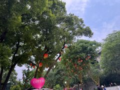 -武昌中华路码头(轮渡站)
