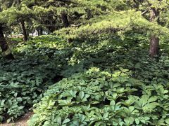 -泰丰公园