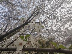 -堤角公园
