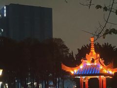 -金砂公园