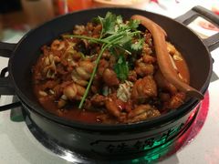 -蛙宝厨