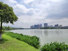 -飞来湖湿地公园