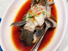 -双子楼大酒店(城开国际写字楼店)