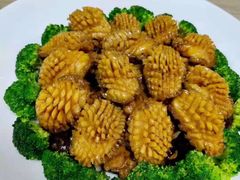 -大班家政月嫂育儿嫂(深圳NO.1店)