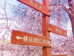 -桃花堤公园