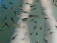 -花水湾第一村温泉大酒店