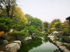 -中国唐苑