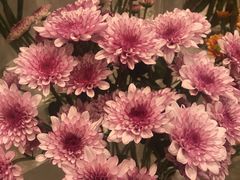 -花邻FloweringLife花艺气球派对(武康大楼店)