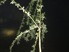 -蓝色派对KTV(聚然广场店)