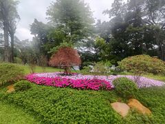 -荔湾湖公园