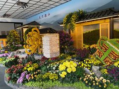-杭州植物园